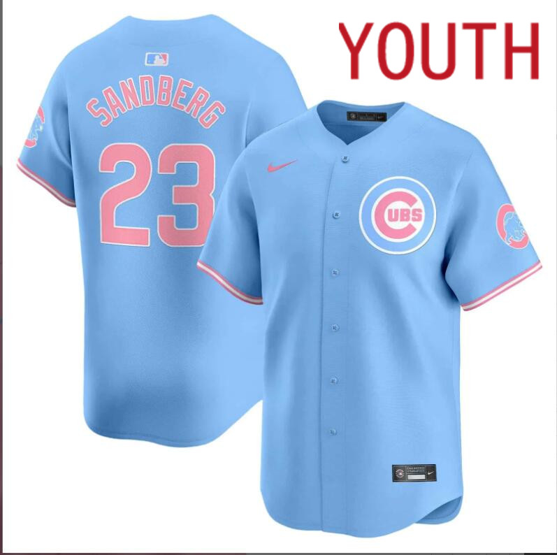 Youth Chicago Cubs 23 Sandberg blue 2024 Nike MLB jersey